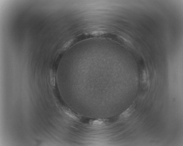 X0000067460180200604101142