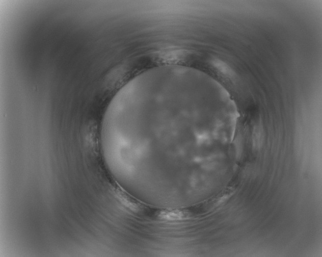 X0000067460181200604101142