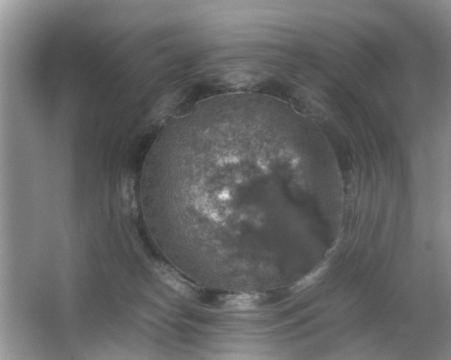 X0000067460182200604101142