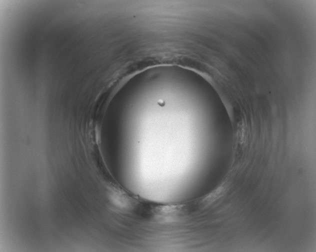 X0000067460184200604101142