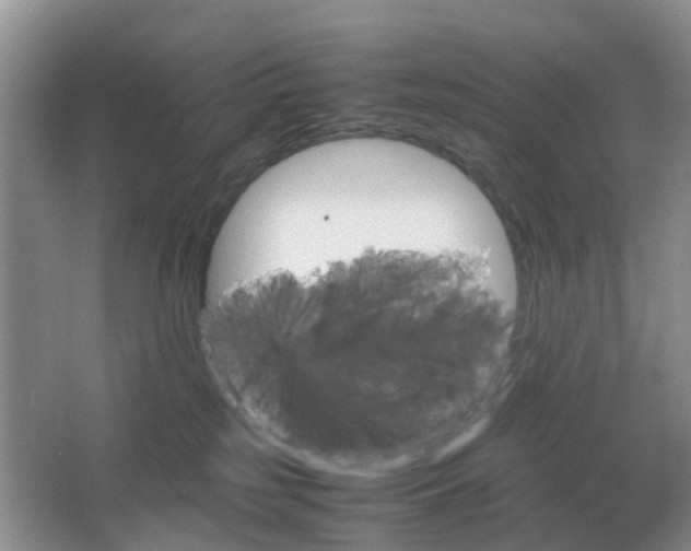 X0000067460185200604101142