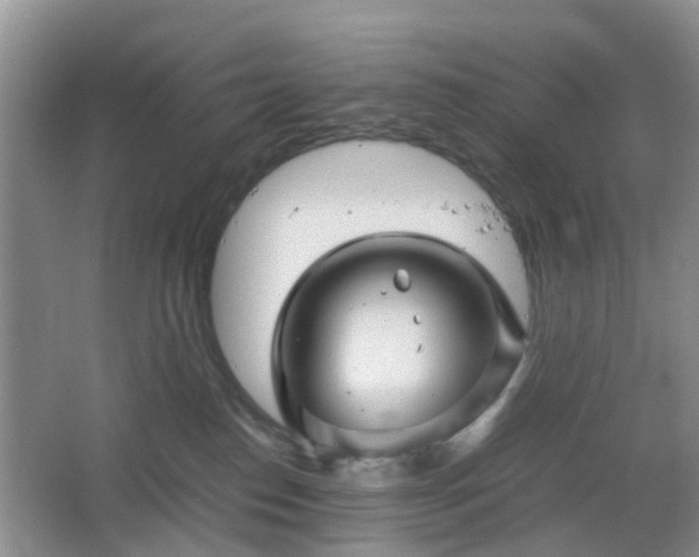 X0000067460186200604101142