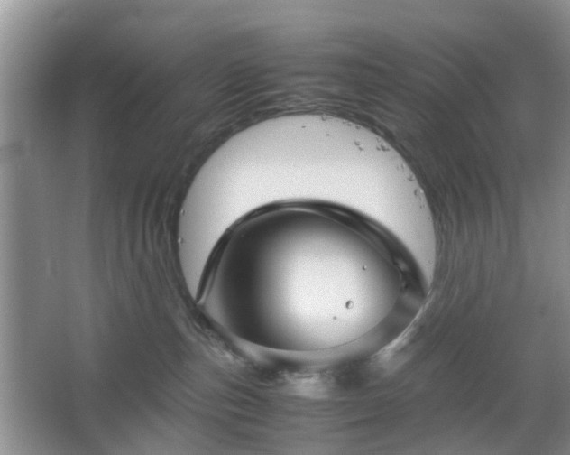 X0000067460187200604101142