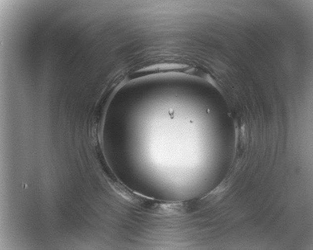 X0000067460188200604101142