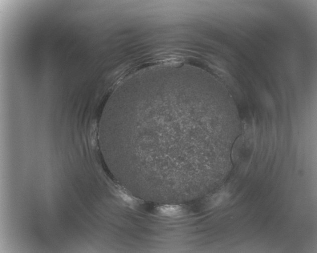 X0000067460189200604101142