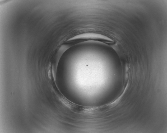 X0000067460190200604101142