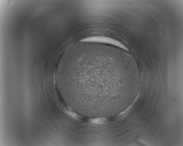 X0000067460191200604101142