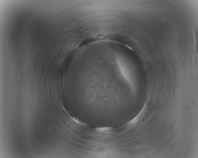 X0000067460192200604101142