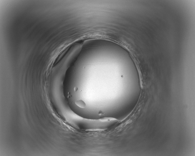 X0000067460193200604101142