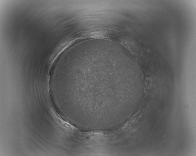 X0000067460194200604101142