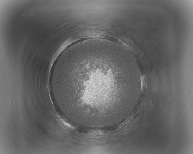 X0000067460195200604101142