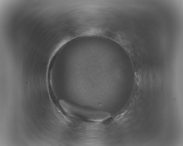 X0000067460196200604101142