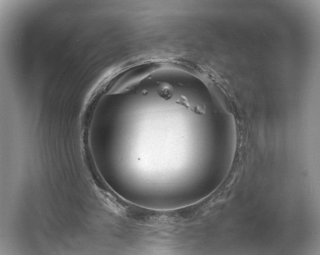 X0000067460197200604101142