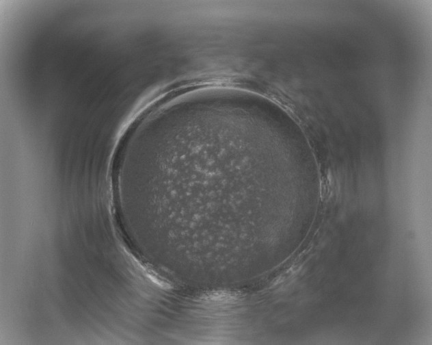 X0000067460198200604101142