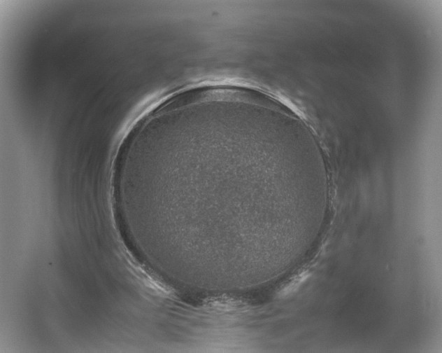 X0000067460199200604101142