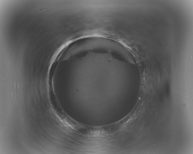 X0000067460200200604101142