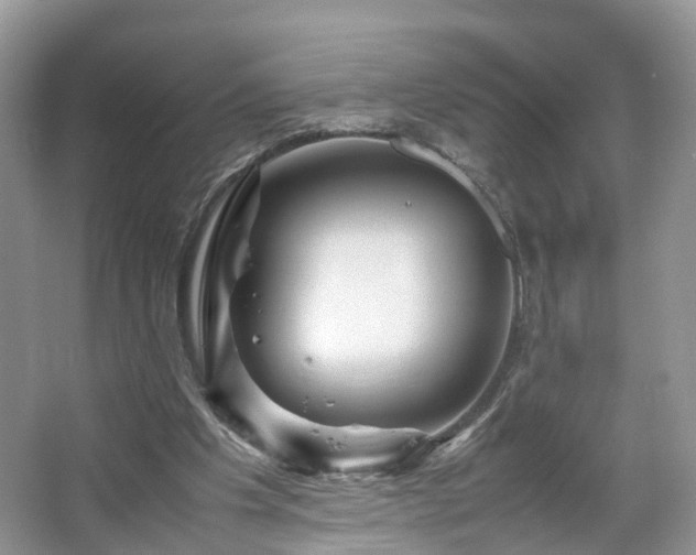 X0000067460201200604101141