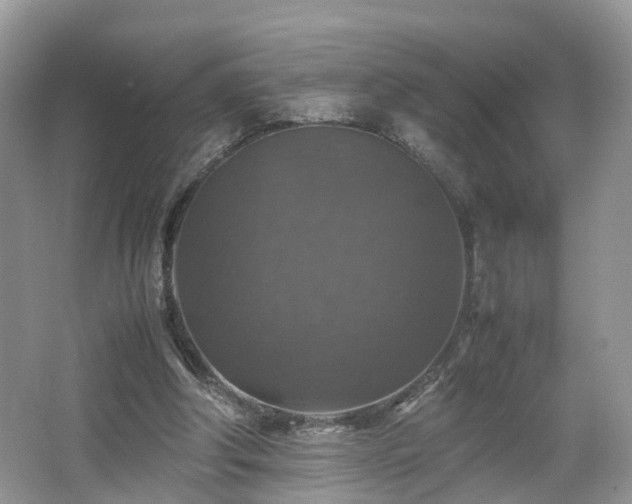 X0000067460202200604101141