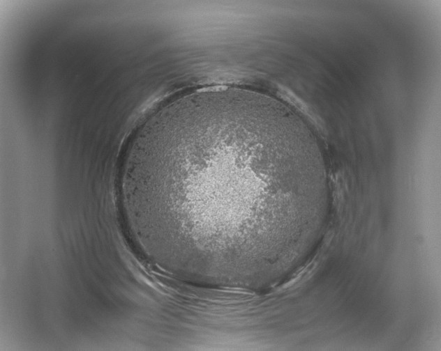 X0000067460203200604101141