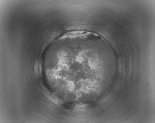 X0000067460206200604101141