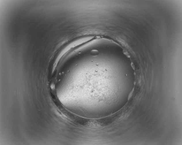 X0000067460207200604101141