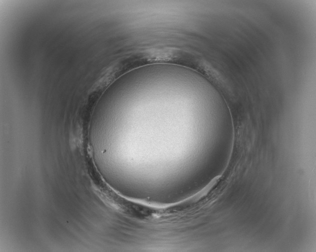 X0000067460209200604101141