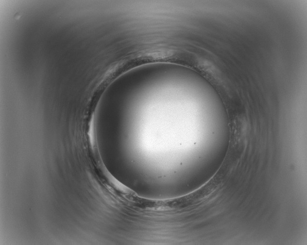 X0000067460212200604101141