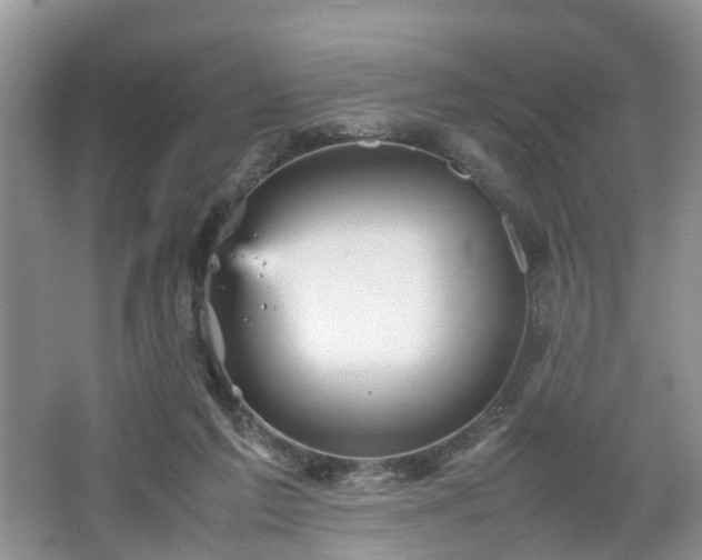 X0000067460213200604101141