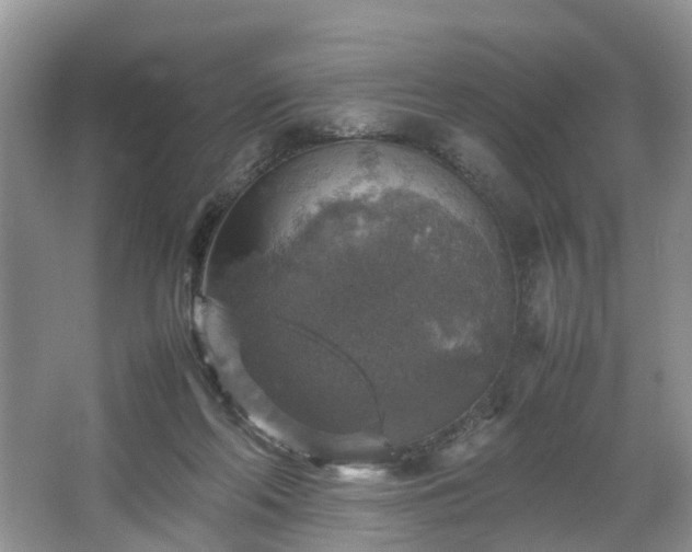 X0000067460214200604101141