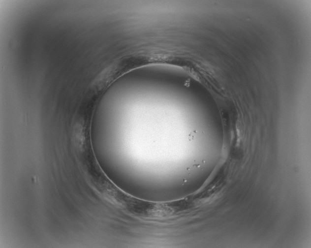 X0000067460215200604101141