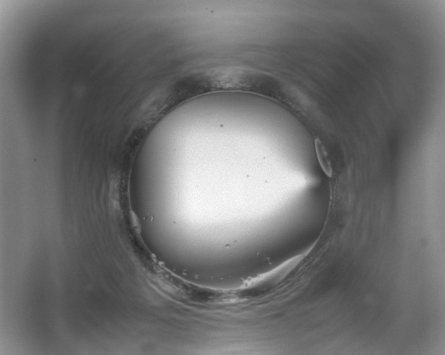 X0000067460217200604101141