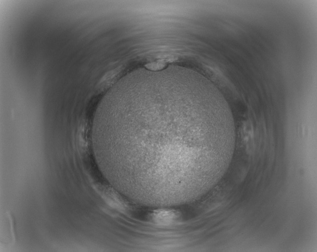 X0000067460218200604101141