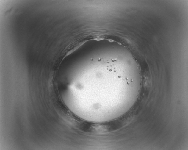 X0000067460221200604101141