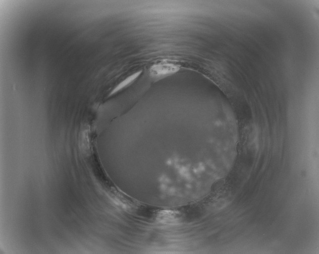 X0000067460222200604101141