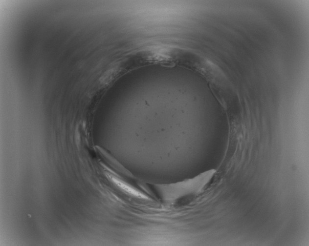 X0000067460223200604101141