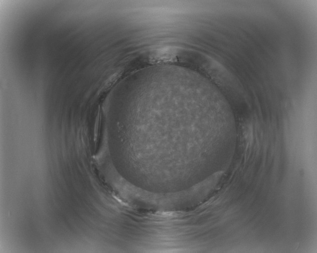 X0000067460224200604101141