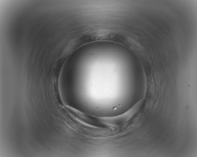 X0000067460225200604101141