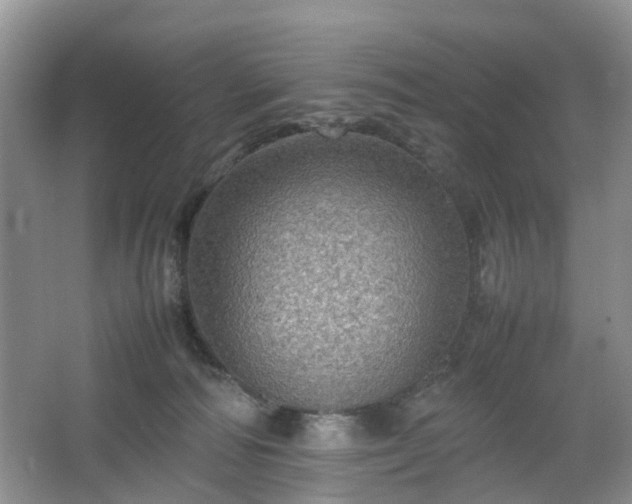 X0000067460226200604101141