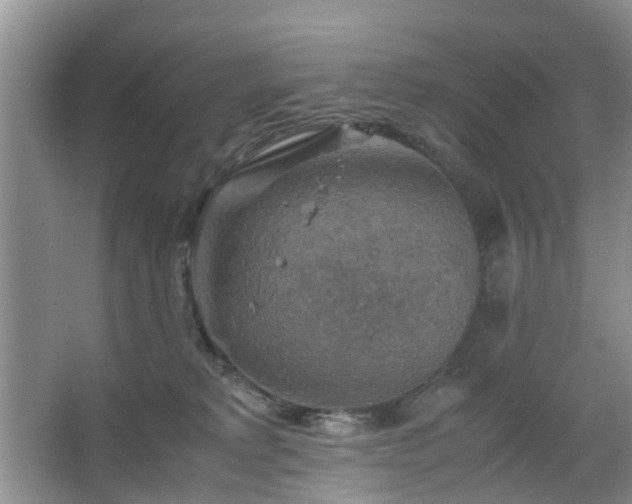 X0000067460229200604101141