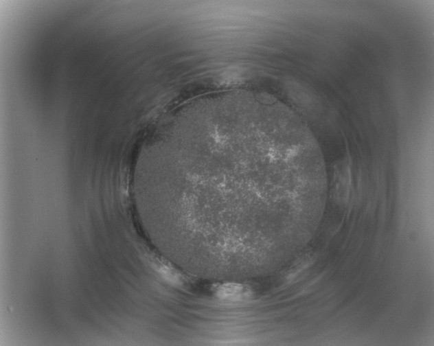 X0000067460230200604101141