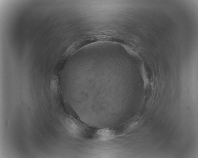 X0000067460231200604101141