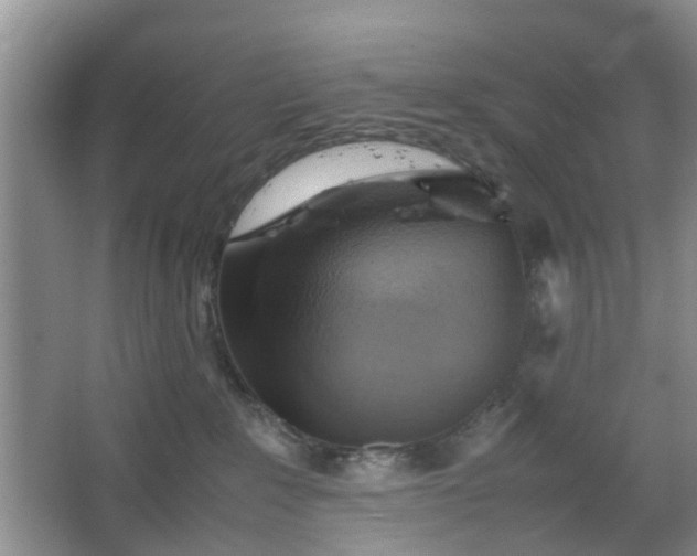 X0000067460235200604101141