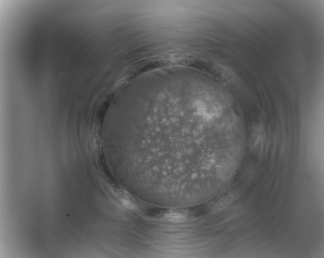 X0000067460236200604101141