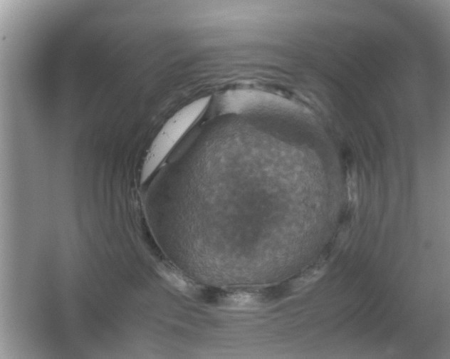 X0000067460237200604101141