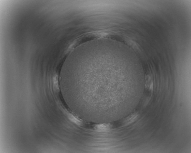 X0000067460238200604101141