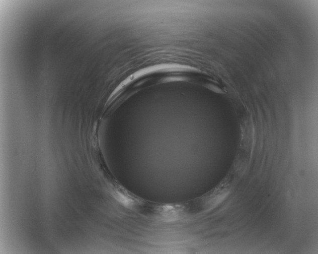 X0000067460239200604101141