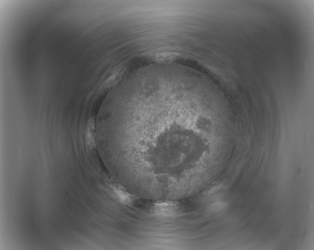 X0000067460240200604101141