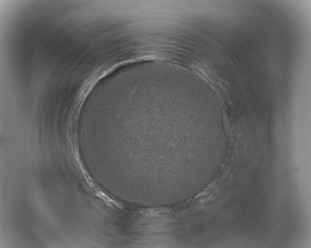 X0000067460241200604101140