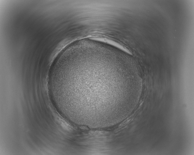 X0000067460242200604101140