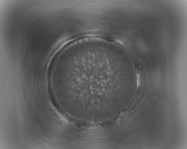 X0000067460243200604101140